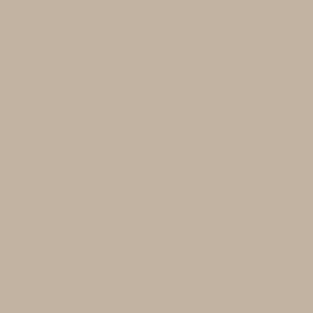 adobe buff + concrete color swatch