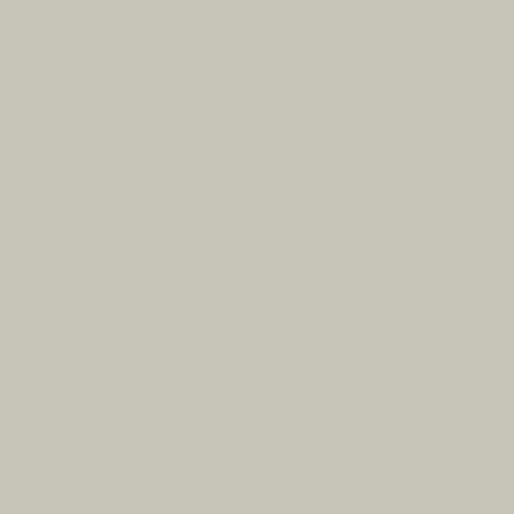 ash white + concrete color swatch