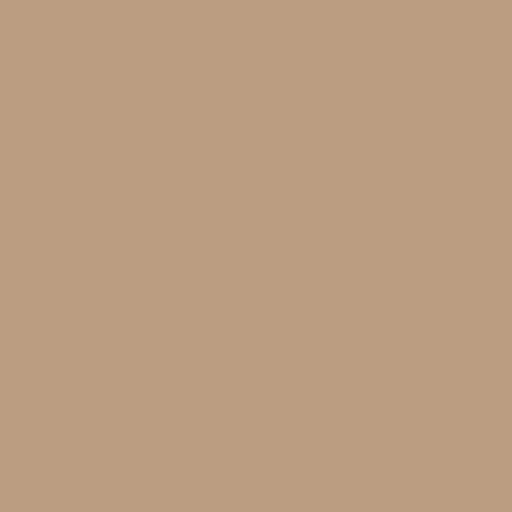 cappuccino concrete color swatch