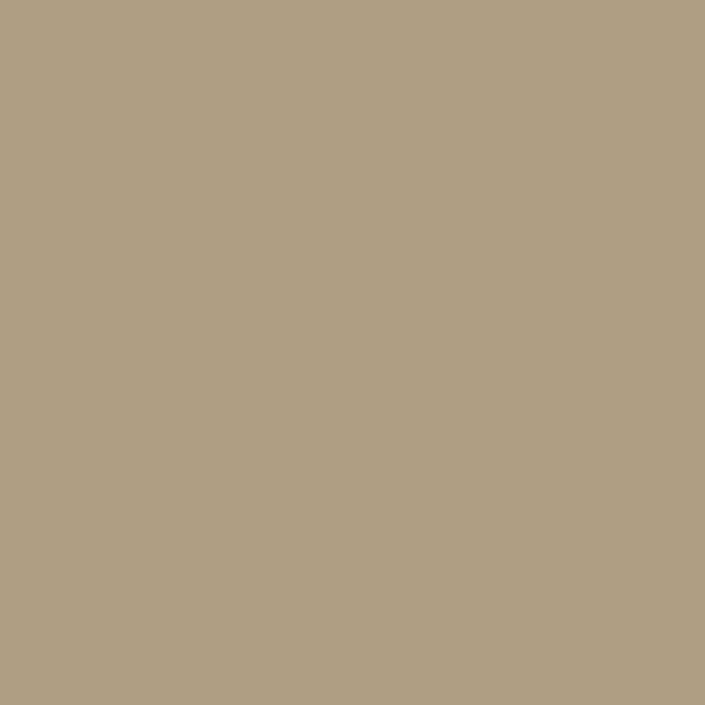 sandy buff concrete color swatch