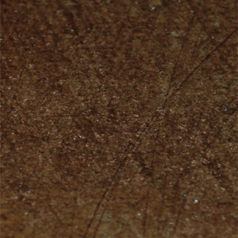 Walnut Acid Stain Swatch